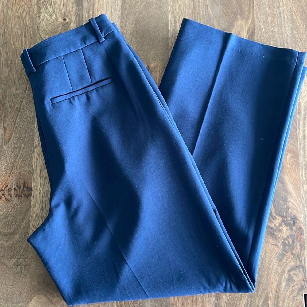 Aritzia Babaton pleated Trouser